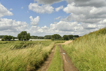 Chemin parfois peu praticable entre les prairies et parcelles cultivables à Écaussinnes-d'Enghien 