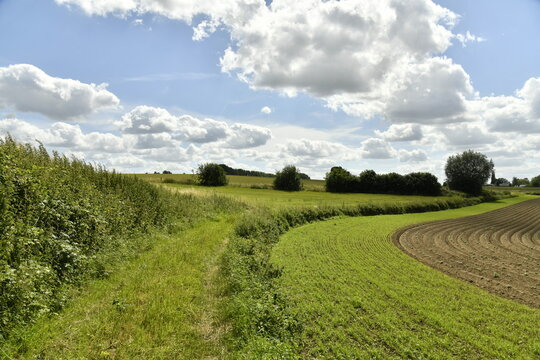 Chemin ou v&eacute;g&eacute;tation sauvage entre deux parcelles de terrain &agrave; &Eacute;caussinnes-d'Enghien (Soignies)