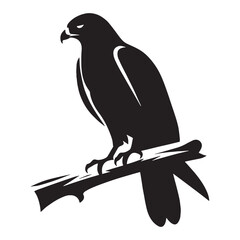 Hawk silhouette, calm before the strike – Hawk illustration – Minimalist Hawk vector – Bird silhouette


