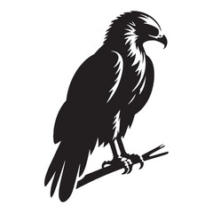 Sharp-winged Hawk silhouette – Hawk illustration – Minimalist Hawk vector – Bird silhouette


