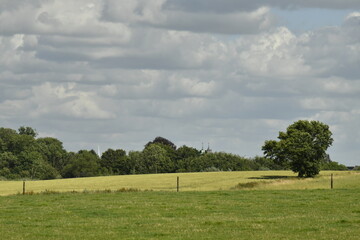 Paysage rural entre champs et prairies sous les cumulus de beau temps à Écaussinnes d'Enghien 