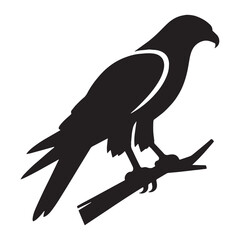 Hawk silhouette soaring with precision – Hawk illustration – Minimalist Hawk vector – Bird silhouette

