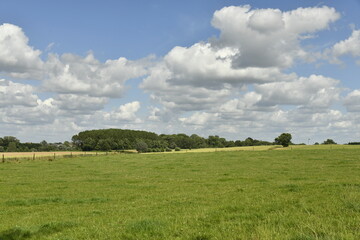Obraz premium Paysage rural entre champs et prairies sous les cumulus de beau temps à Écaussinnes d'Enghien 