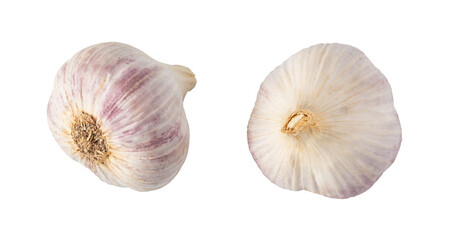 Two garlic bulbs isolated on transparent background showing different sides