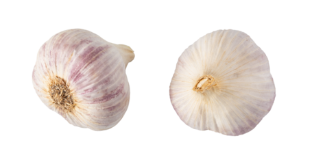 Two garlic bulbs isolated on transparent background showing different sides