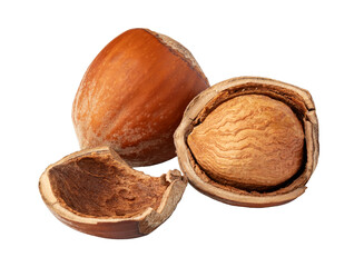Hazelnuts showing open shell, whole hazelnut, and broken shell pieces on transparent background