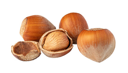 Hazelnuts with open shell exposing the nut inside on transparent background