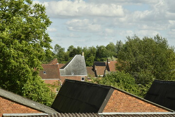 Toits de maisons traditionnelles à la lisière d'un bois à Écaussinnes d'Enghien (Soignies)