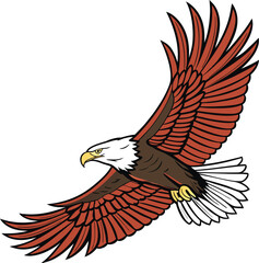 Colored Eagle Design Illustration. Eagle Bird Colored Art Design. Majestic Eagle Colored Drawing. Flying Eagle Flat Style Artwork