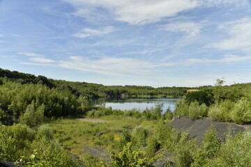 Végétation sauvage près d'une ancienne carrière remplie d'eau à Écaussinnes-D'enghien 