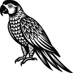 Adobe IllustraSouth American rainforest blue and gold macaw flying parrottor Artwork