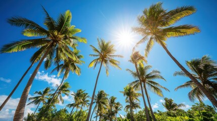 Obraz premium Palm trees against blue sky