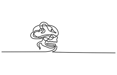 Snake creeping over a scared skull Decorative elements drawn on a white background. Vector illustration .