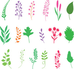 Colorful Botanical Leaf and Flower Silhouettes Vector Set.