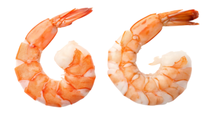 Two cooked shrimp prawns seafood isolated on transparent PNG background