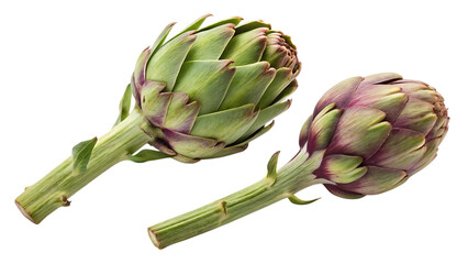 Fototapeta premium Two fresh artichokes isolated on transparent PNG background