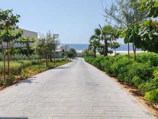 Interlock path with stairs and road between landscaping area. Green Landscaping with Trees on both side of interlock ramp. Houses or Villa's beside Padestrian ramp pathway stairs with Cloudy SKY.