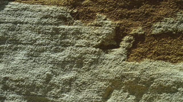 A textured close-up of sand-colored yellow-orange sandstone, showcasing its granular composition and warm earthy tones. Ideal for geological backgrounds or desert landscape themes.