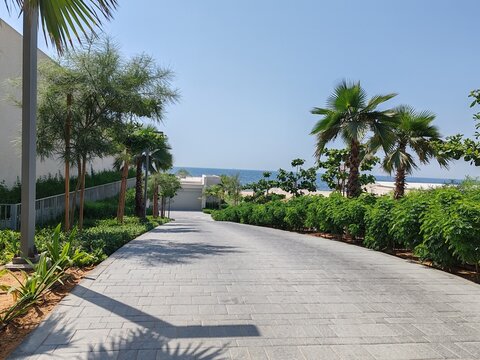 Interlock path with stairs and road between landscaping area. Green Landscaping with Trees on both side of interlock ramp. Houses or Villa's beside Padestrian ramp pathway stairs with Cloudy SKY.