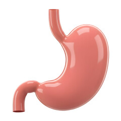 3D render of a human stomach. Detailed anatomical model. 3d rendering isolated on white background. Cartoon plastic style
