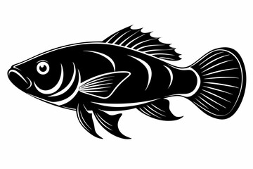 oscar fish sihouette black vector