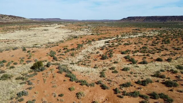 Aerial view of a herd of springbok running across a dry landscape with sparse vegetation and red dirt south africa