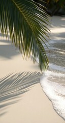 Palm frond casting a shadow on a pristine beach, with gentle waves lapping at the shore.  Soft sunlight bathes the scene, creating a tranquil atmosphere
