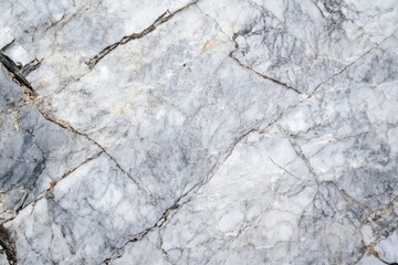 Natural, light gray marble surface with prominent veins.  Detailed, high-resolution image of stone texture