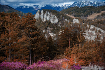 20 Schilling Blick, Austria