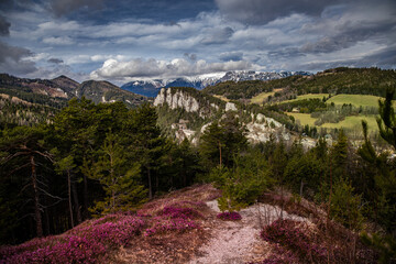 20 Schilling Blick, Austria 