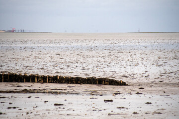 Visiting Sylt