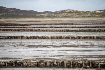 Visiting Sylt