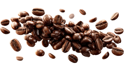 Coffee beans scattered on a transparent background for culinary use