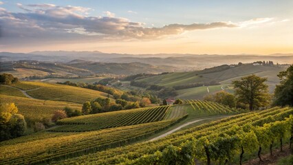Rolling Hills Vineyard at Sunset © MariusAdrian