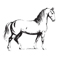 Vintage Engraving woodcut Horse retro vector art illustration design.	