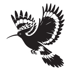 Elegant Stance Hoopoe silhouette with open crest – Hoopoe illustration – Minimalist Hoopoe vector – Bird silhouette


