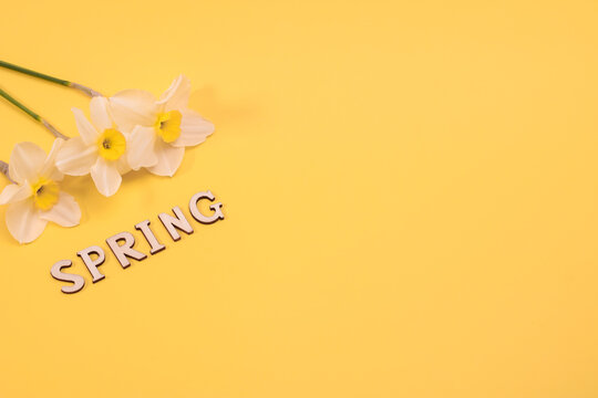 Naklejki the word spring is written in wooden letters in the colors of daffodils. Flat lay