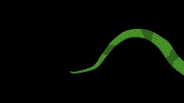 Flat Style Animation of Various Snakes Slithering Crawling Over Black Background 2D Flat Animation