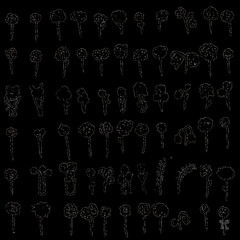 seamless floral pattern