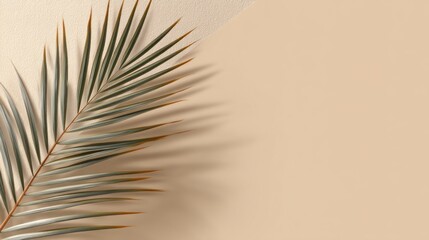 A palm leaf gracefully lays across a beige minimalistic background, highlighting the beauty of nature while creating a serene and calming atmosphere within a modern space