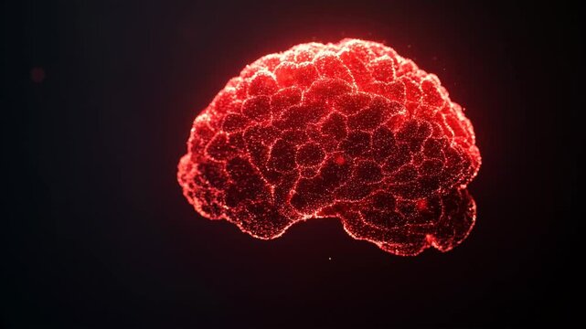 Rotating Glowing Red Particle Brain on Black Background &ndash; 360&deg; Loop Animation