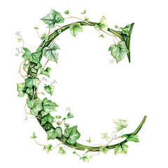 Decorative green ivy letter C illustration on a transparent background. Features detailed watercolor style leaves and vines. Perfect for floral and botanical designs.