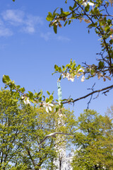 Riga, Latvia - 05.05.2025: Freedom Monument known as Milda, located in the centre of Riga