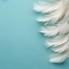 Obraz premium Soft focus image of white feathers on a smooth pastel background with natural light 