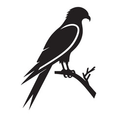 Sleek Kite silhouette on the hunt – Kite illustration – Minimalist Kite vector – Bird silhouette

