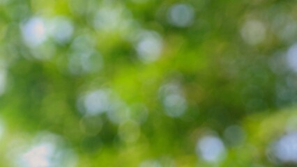 Green bokeh blurred shiny abstract background with a glowing holiday sparkle