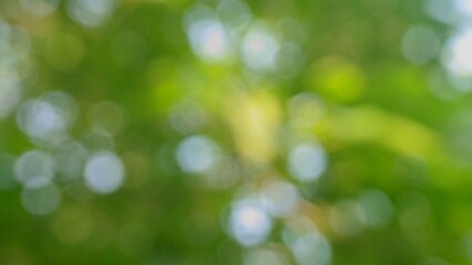 Abstract green blurred background with natural bokeh light effects.