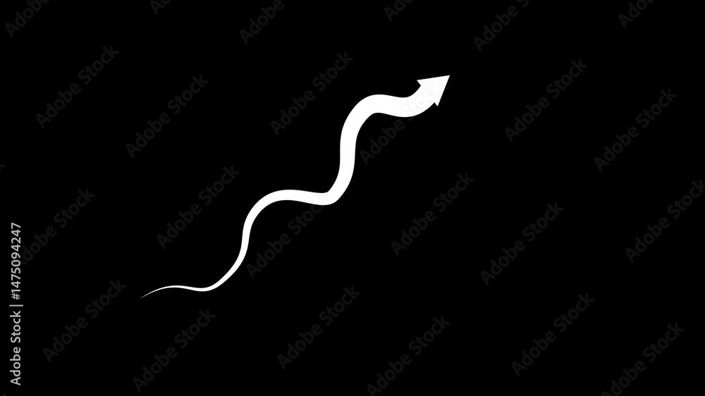 Poster arrow curve growth animation, alpha channel doodle arrow on transparent background motion design. 4k