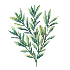 Obraz premium Watercolor leaves branch element isolated on transparent background
