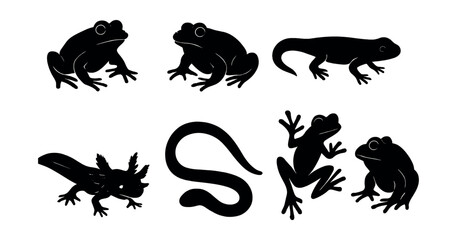Naklejka premium Amphibian silhouette icons set - simple, frog and salamander graphic symbols